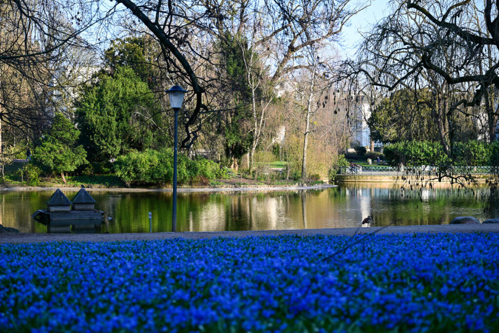 Frühling am Warmen Damm