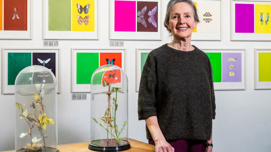 Farben, Bewegung und Naturbeobachtung: Joos van de Plas bringt Merians Welt in zeitgenössische Kunst zurück.