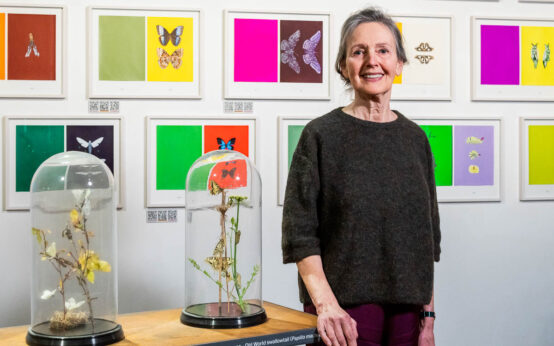 Farben, Bewegung und Naturbeobachtung: Joos van de Plas bringt Merians Welt in zeitgenössische Kunst zurück.