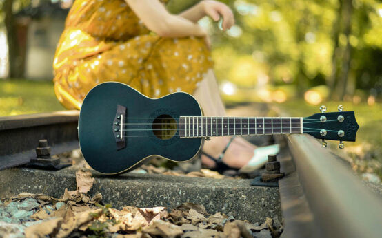 Ukulele