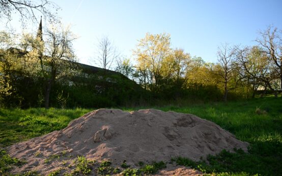 Neuer Quartiersplatz Schumannstraße