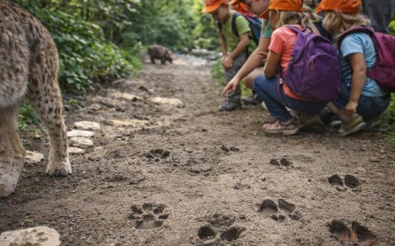 Neugier auf vier Pfoten: Kinder entdecken in der Fasanerie, wie unterschiedlich Tiere ihre Welt betreten.