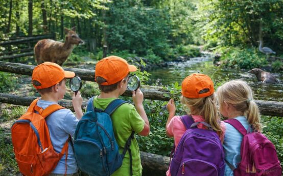 Kinder entdecken in der Fasanerie spielerisch Tiere und Pflanzen und werden zu kleinen Naturforschern.
