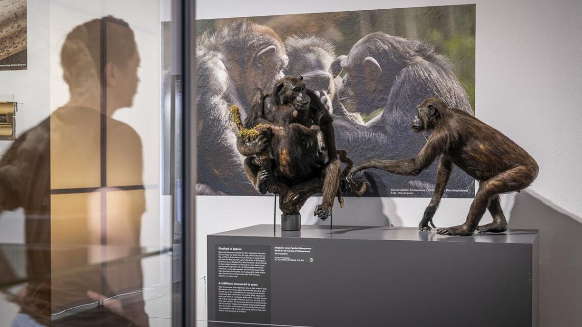 Blick in die Ausstellung. Foto: Museum Wiesbaden / Bernd Fickert