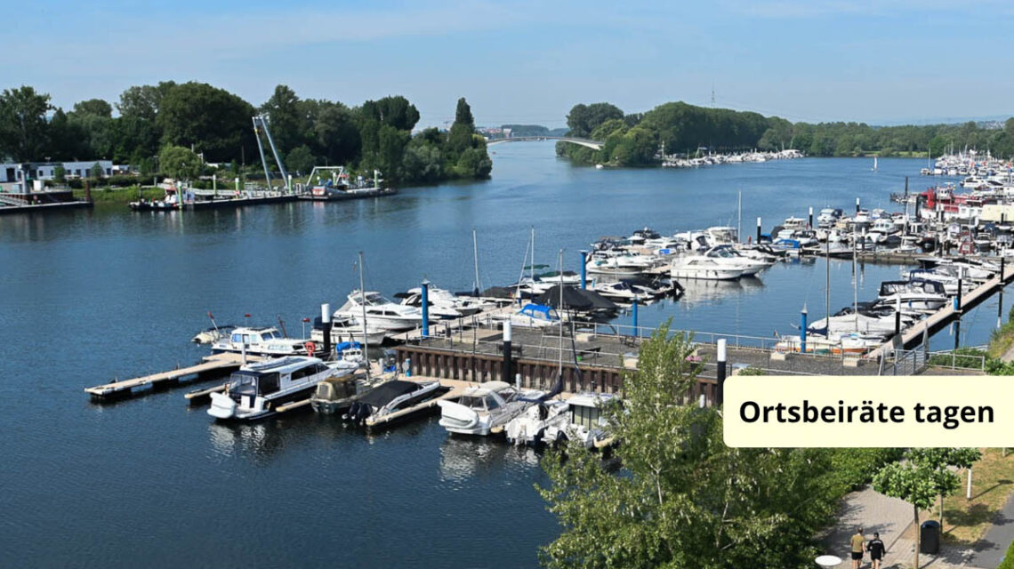 Schiersteiner Hafen